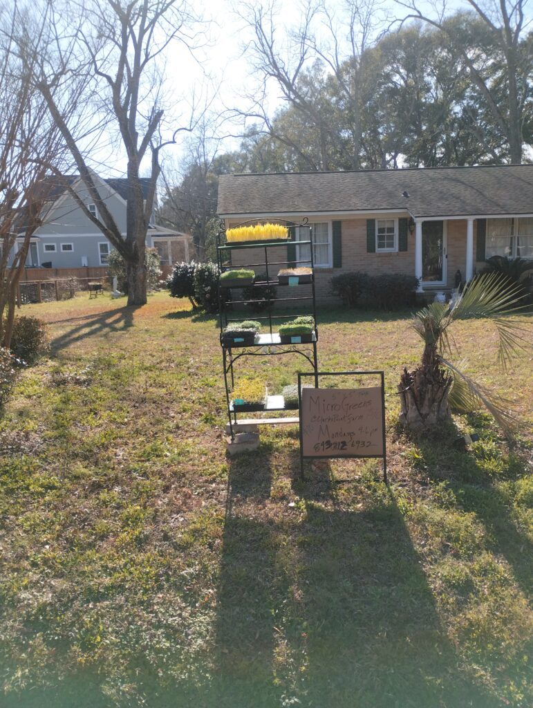 The Johns Island grow site of The MicroGreens Farm, with microgreen trays staged outside